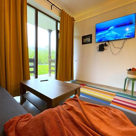 Cozy Riverfront Apartments With Garden And Mountain View Busteni Ngoại thất bức ảnh